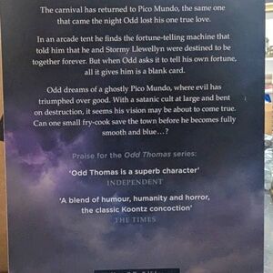 Dean Kontz Saint Odd book